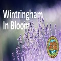 Wintringham In Bloom